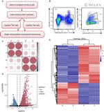 CD3e Antibody in Flow Cytometry (Flow)