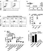 F4/80 Antibody in Flow Cytometry (Flow)