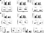 CD3e Antibody in Flow Cytometry (Flow)