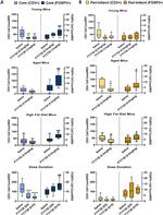 CD3e Antibody in Immunohistochemistry (IHC)