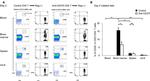 CD45R (B220) Antibody in Flow Cytometry (Flow)