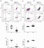 FOXP3 Antibody in Flow Cytometry (Flow)