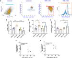 CD366 (TIM3) Antibody in Flow Cytometry (Flow)