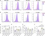 IFN gamma Antibody in Flow Cytometry (Flow)