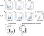 CD3 Antibody in Flow Cytometry (Flow)