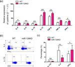 CD4 Antibody in Flow Cytometry (Flow)