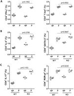 IFN gamma Antibody in Flow Cytometry (Flow)