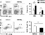 CD4 Antibody in Flow Cytometry (Flow)