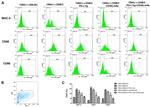 CD80 (B7-1) Antibody in Flow Cytometry (Flow)