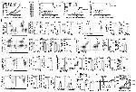 CD44 Antibody in Flow Cytometry (Flow)