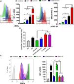 CD86 (B7-2) Antibody in Flow Cytometry (Flow)