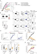 CD44 Antibody in Flow Cytometry (Flow)