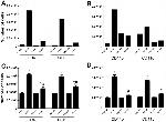 CD11c Antibody in Flow Cytometry (Flow)