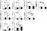 CD69 Antibody in Flow Cytometry (Flow)