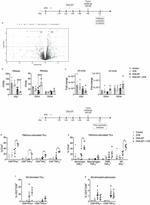 CD4 Antibody in Flow Cytometry (Flow)