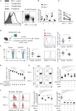 TCR beta Antibody in Flow Cytometry (Flow)