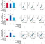 CD4 Antibody in Flow Cytometry (Flow)