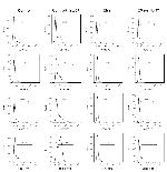 CD86 Antibody in Flow Cytometry (Flow)