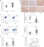 FOXP3 Antibody in Flow Cytometry (Flow)