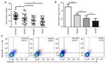 CD25 Antibody in Flow Cytometry (Flow)