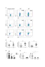 IL-17A Antibody in Flow Cytometry (Flow)