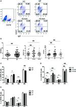 IgD Antibody in Flow Cytometry (Flow)