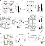 HELIOS Antibody in Flow Cytometry (Flow)