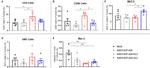 MHC Class II (I-Ek) Antibody in Flow Cytometry (Flow)