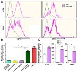 CD69 Antibody in Flow Cytometry (Flow)