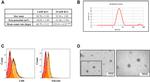 CD9 Antibody in Flow Cytometry (Flow)