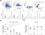 CD45 Antibody in Flow Cytometry (Flow)