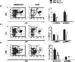 Ly-6C Antibody in Flow Cytometry (Flow)