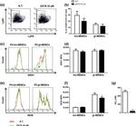 iNOS Antibody in Flow Cytometry (Flow)