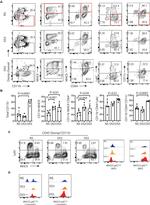 CD11b Antibody in Flow Cytometry (Flow)