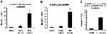 Ly-6G/Ly-6C Antibody in Flow Cytometry (Flow)