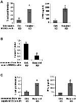 Ly-6G/Ly-6C Antibody in Flow Cytometry (Flow)