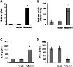 Ly-6G/Ly-6C Antibody in Flow Cytometry (Flow)