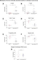 CD11b Antibody in Flow Cytometry (Flow)