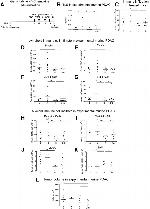 Ly-6C Antibody in Flow Cytometry (Flow)