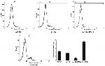 CD11b (activation epitope) Antibody in Flow Cytometry (Flow)