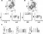 CD11c Antibody in Flow Cytometry (Flow)