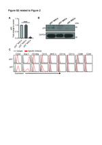 CD11c Antibody in Flow Cytometry (Flow)