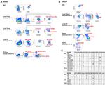 CD103 (Integrin alpha E) Antibody in Flow Cytometry (Flow)