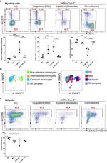 CD56 Antibody in Flow Cytometry (Flow)