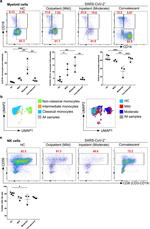 CD14 Antibody in Flow Cytometry (Flow)