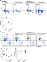 CD19 Antibody in Flow Cytometry (Flow)