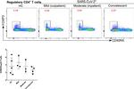 FOXP3 Antibody in Flow Cytometry (Flow)