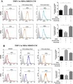 CD206 (MMR) Antibody in Flow Cytometry (Flow)