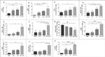 CD19 Antibody in Flow Cytometry (Flow)