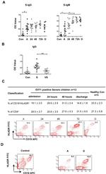 CD19 Antibody in Flow Cytometry (Flow)